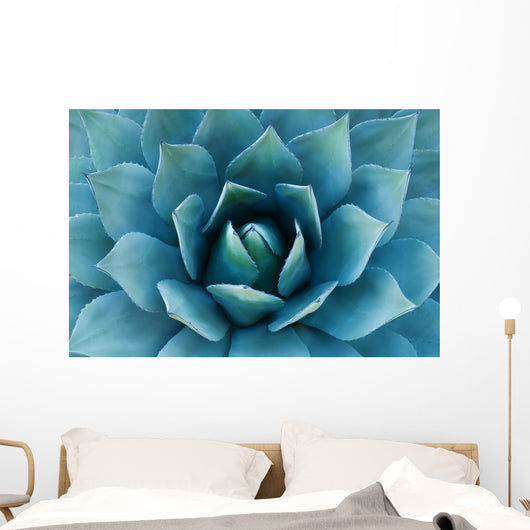 Agave Plant Wall Decal