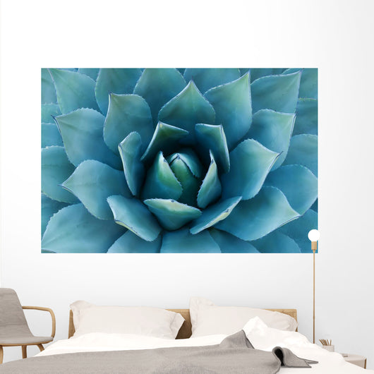 Agave Plant Wall Decal