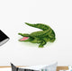 Vector Illustration Crocodile White Wall Decal