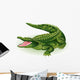 Vector Illustration Crocodile White Wall Decal