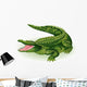 Vector Illustration Crocodile White Wall Decal