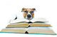 Studied Dog Wall Decal