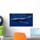 CG Rendered Whale Underwater Wall Decal
