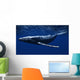 CG Rendered Whale Underwater Wall Decal