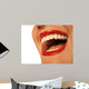 All Smiles Wall Decal