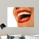All Smiles Wall Decal