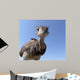 Curious Ostrich Wall Decal