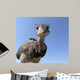 Curious Ostrich Wall Decal