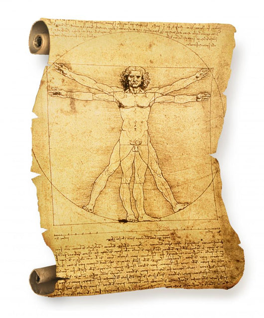 Leonardo's Vitruvian Man Old Wall Decal
