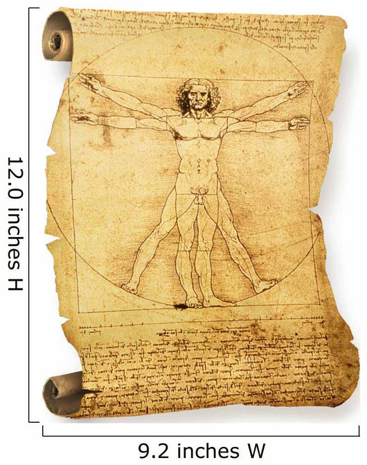 Leonardo's Vitruvian Man Old Wall Decal