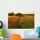 Field Poppy Wall Decal