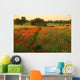 Field Poppy Wall Decal