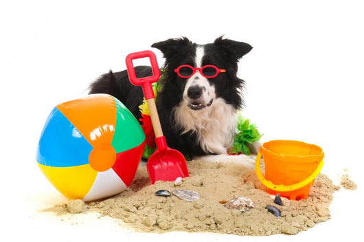 Dog Vacation Wall Decal