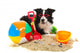 Dog Vacation Wall Decal