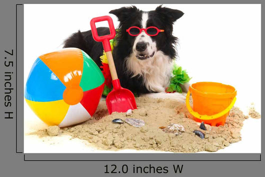 Dog Vacation Wall Decal