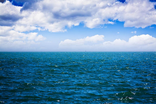 Ocean Wall Decal