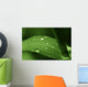 Leaf with Water Drops Wall Decal