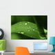 Leaf with Water Drops Wall Decal