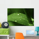 Leaf with Water Drops Wall Decal