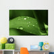 Leaf with Water Drops Wall Decal