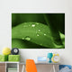 Leaf with Water Drops Wall Decal
