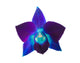 Blue and Purple Orchid Flower Wall Decal