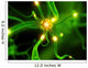 Aktive Neuronenzelle Wall Decal