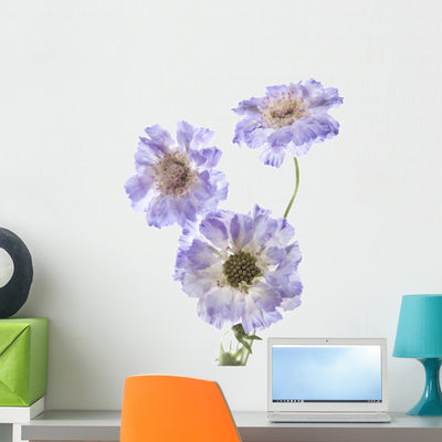 Purple Scabiosa Flowers Wall Decal shown on a wall