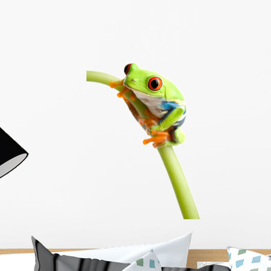 Red-eyed Tree Frog Wall Decal