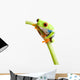 Red-eyed Tree Frog Wall Decal