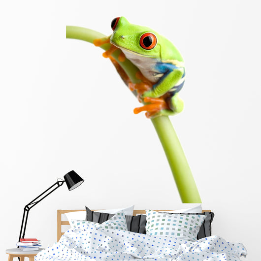 Red-eyed Tree Frog Wall Decal