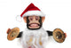 Vintage Mechanical Monkey Toy Wall Decal