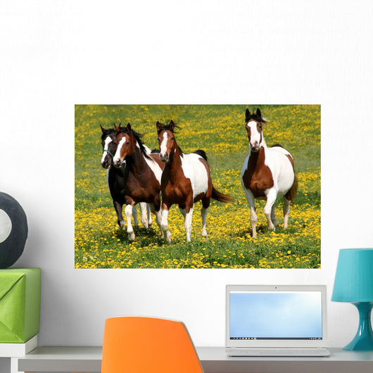 Pferdeherde Wall Decal