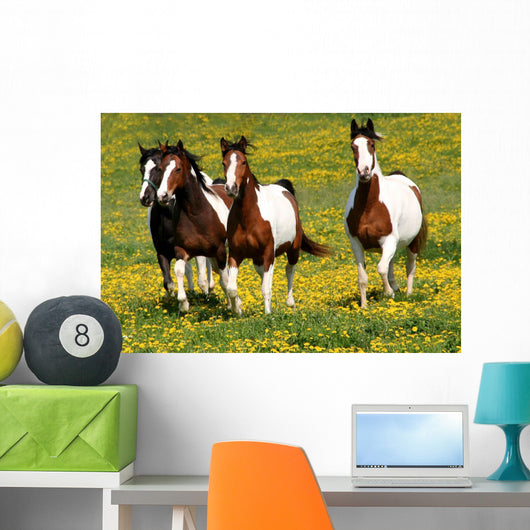 Pferdeherde Wall Decal