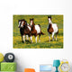 Pferdeherde Wall Decal