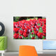 Tulipani Wall Decal