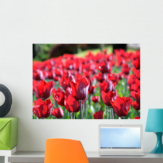 Tulipani Wall Decal