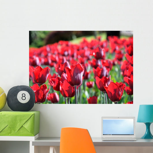 Tulipani Wall Decal
