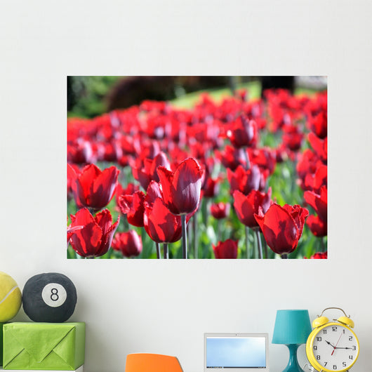 Tulipani Wall Decal