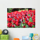 Tulipani Wall Decal