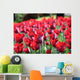 Tulipani Wall Decal