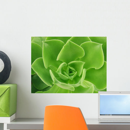 Succulent Wall Decal