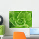 Succulent Wall Decal