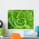 Succulent Wall Decal