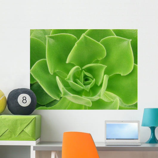 Succulent Wall Decal
