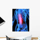 Skeleton with Back Pain Wall Decal