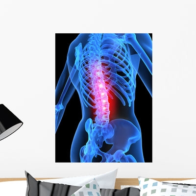 Skeleton with Back Pain Wall Decal shown on a wall