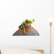 Frog Rock Wall Decal