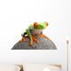 Frog Rock Wall Decal