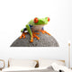 Frog Rock Wall Decal